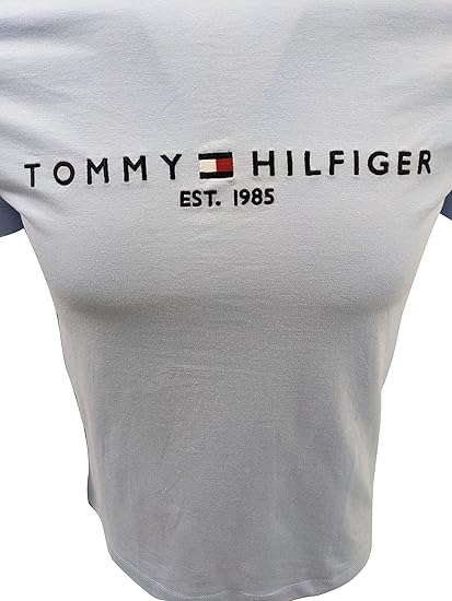 Camiseta Tommy Hilfiger Mens - G